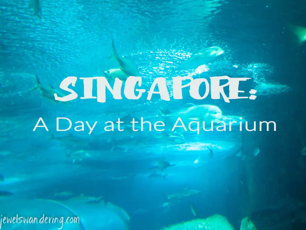 A day at the Aquarium