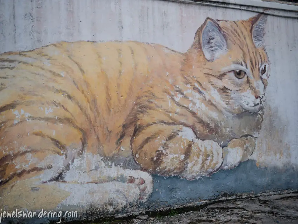 Cats, Penang, Malaysia