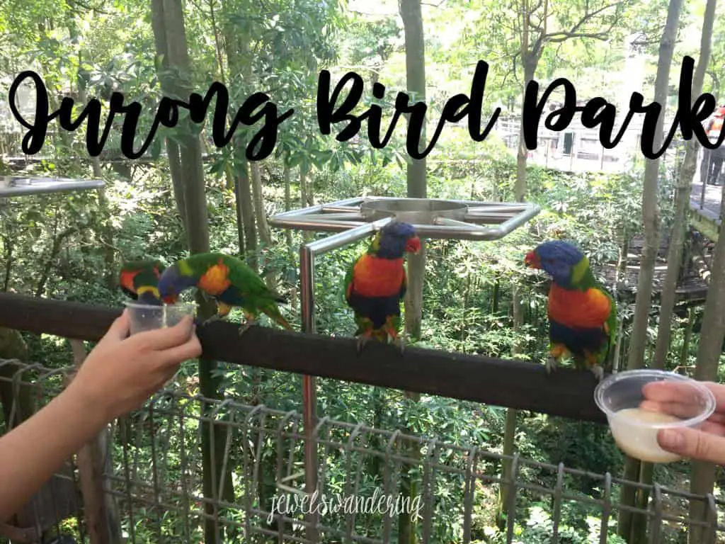 jurong-bird-park