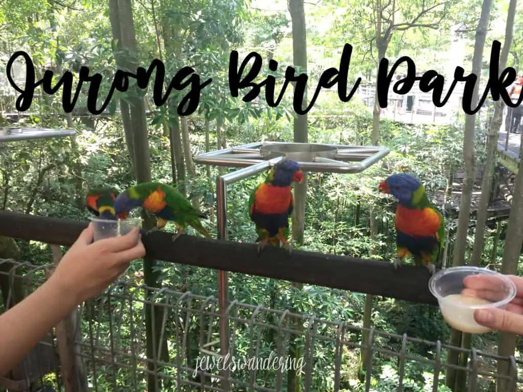 Jurong Bird Park