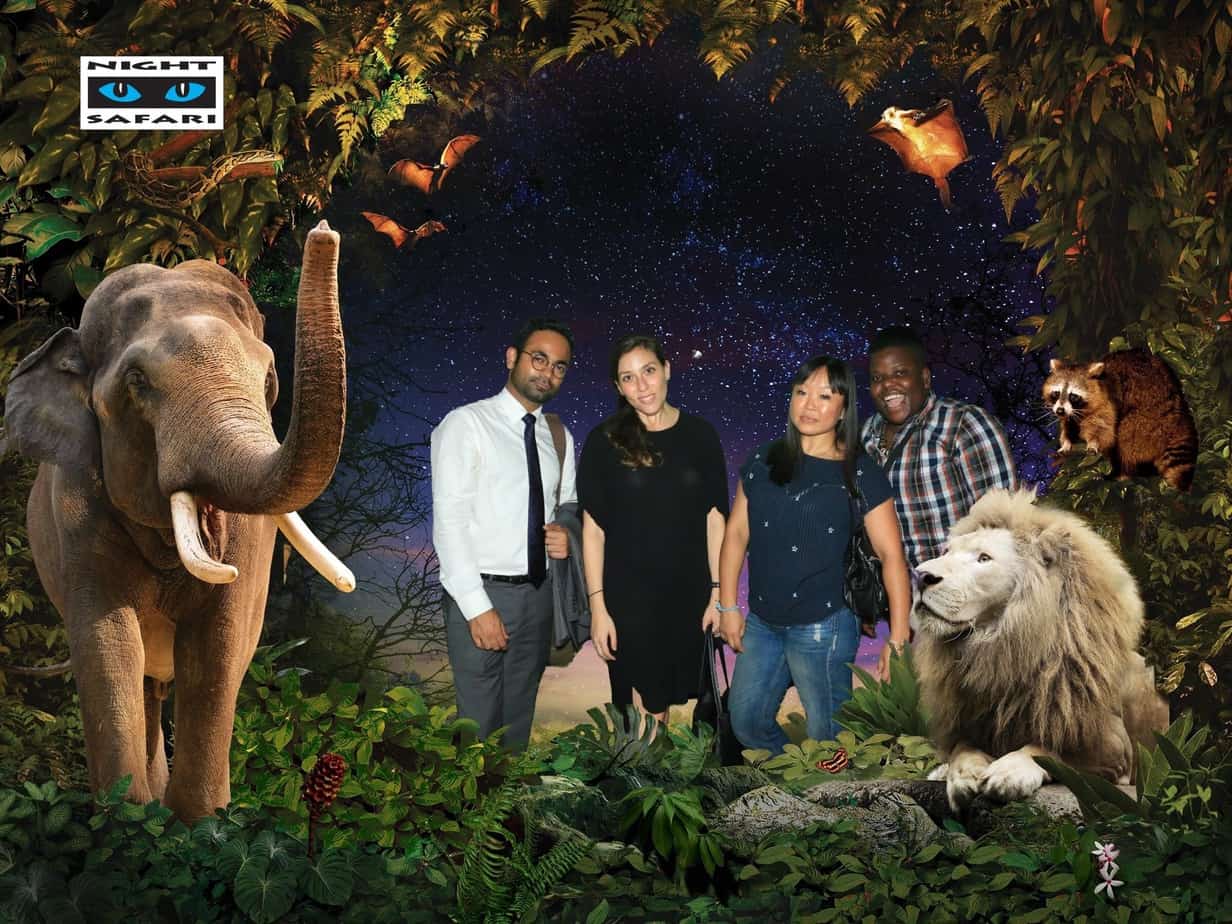 Night Safari
