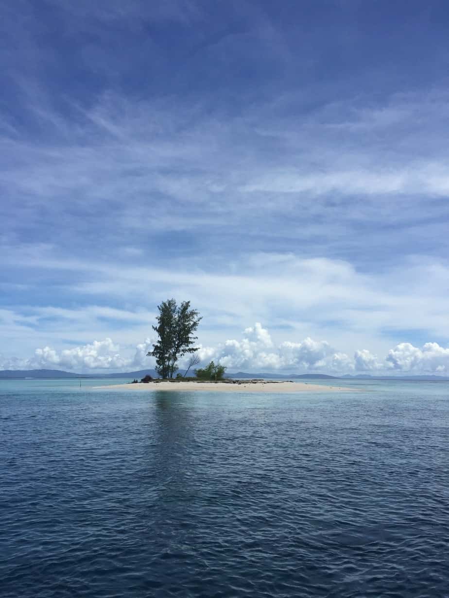 Gems of Raja Ampat