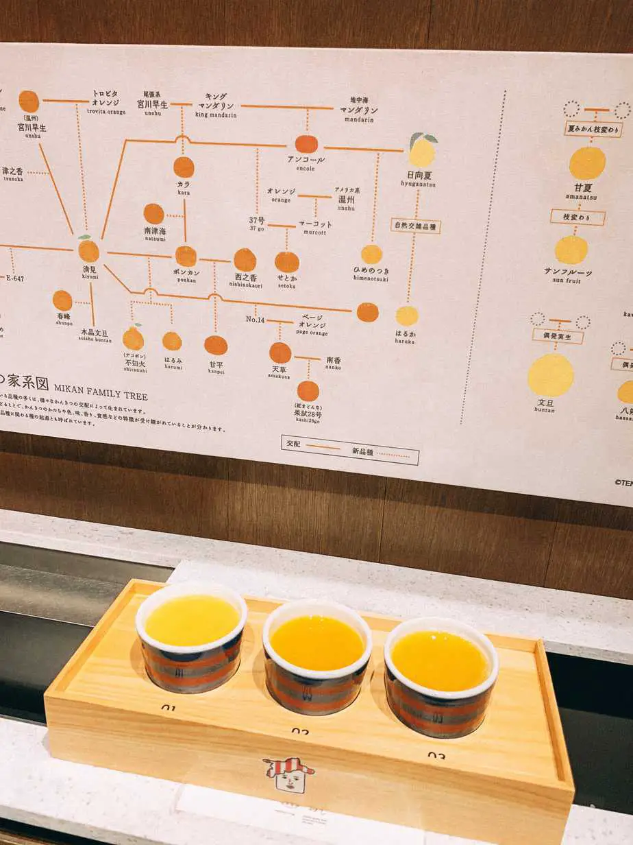 Ginza, Tokyo, Orange Juice Tasting
