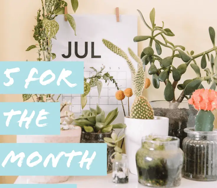 calendar of July with succulents